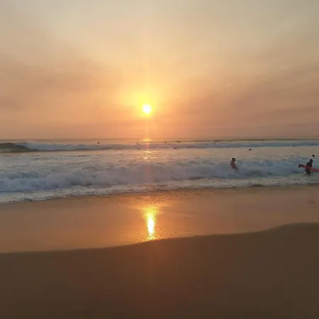 Majorelle Du Chateau