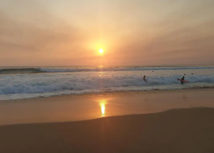 Majorelle Du Chateau